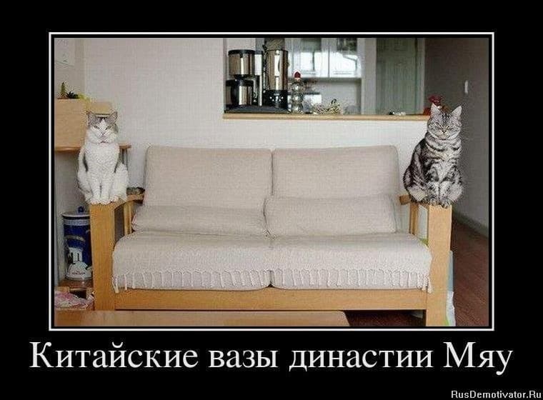 Немного юмора про мебель — фото 3